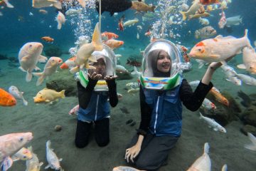 Umbul Ponggok: A Budget-Friendly Snorkeling Spot in Klaten