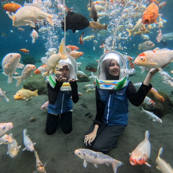 Umbul Ponggok: A Budget-Friendly Snorkeling Spot in Klaten